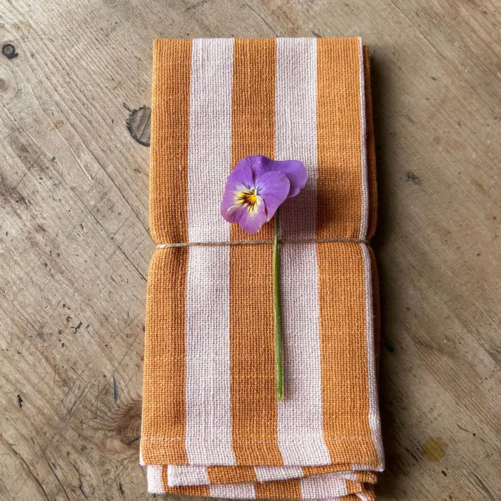 Set of 6 Jaipur Stripe Napkin - Pink City