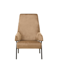 Brea Chair - Mink Velvet