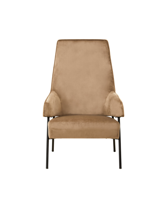 Brea Chair - Mink Velvet