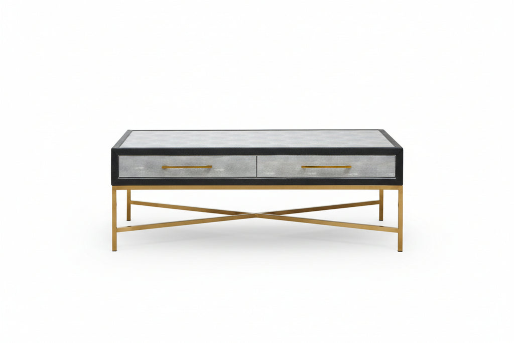 Auremi Shagreen Coffee Table - Grey & Brass