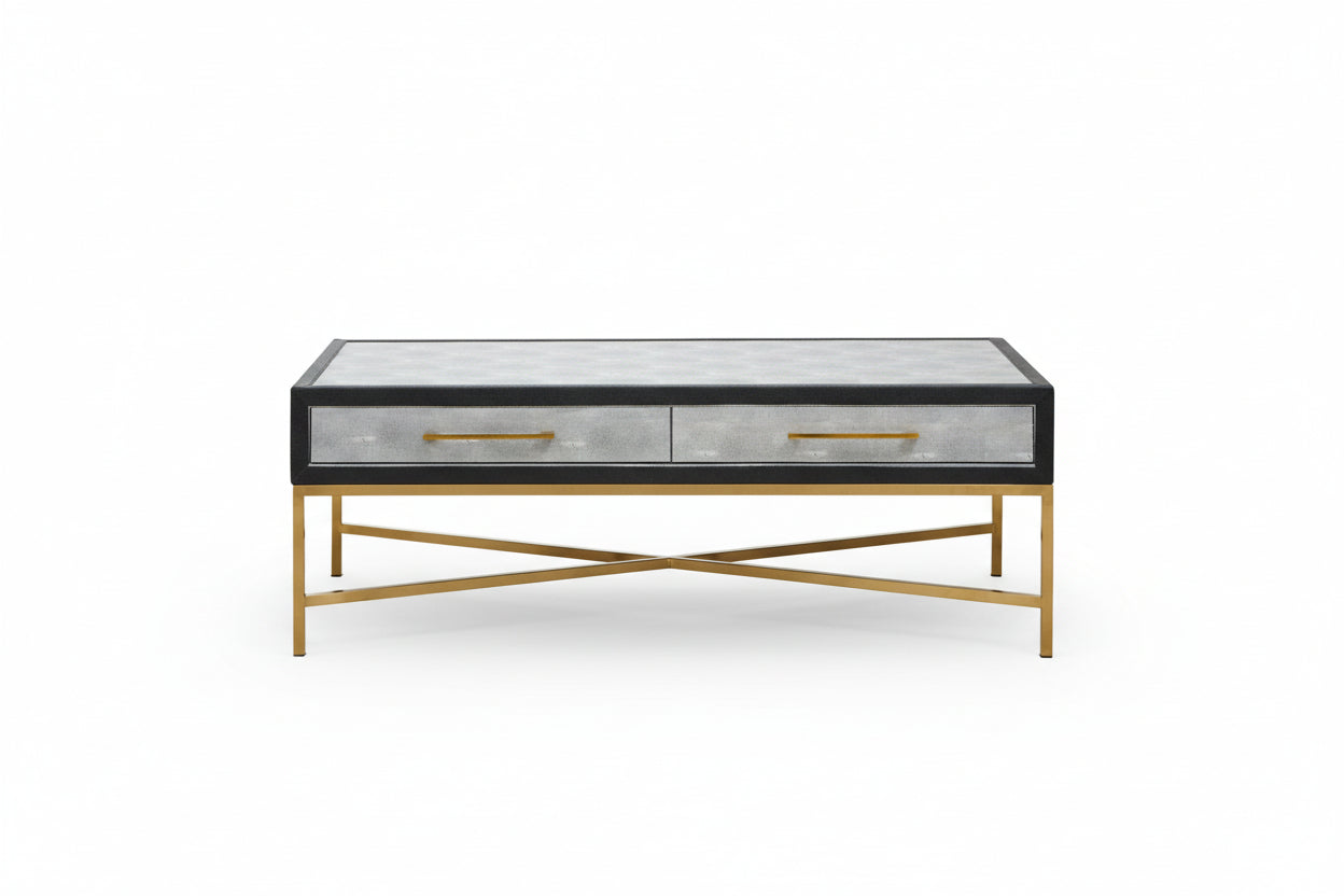 Auremi Shagreen Coffee Table - Grey & Brass
