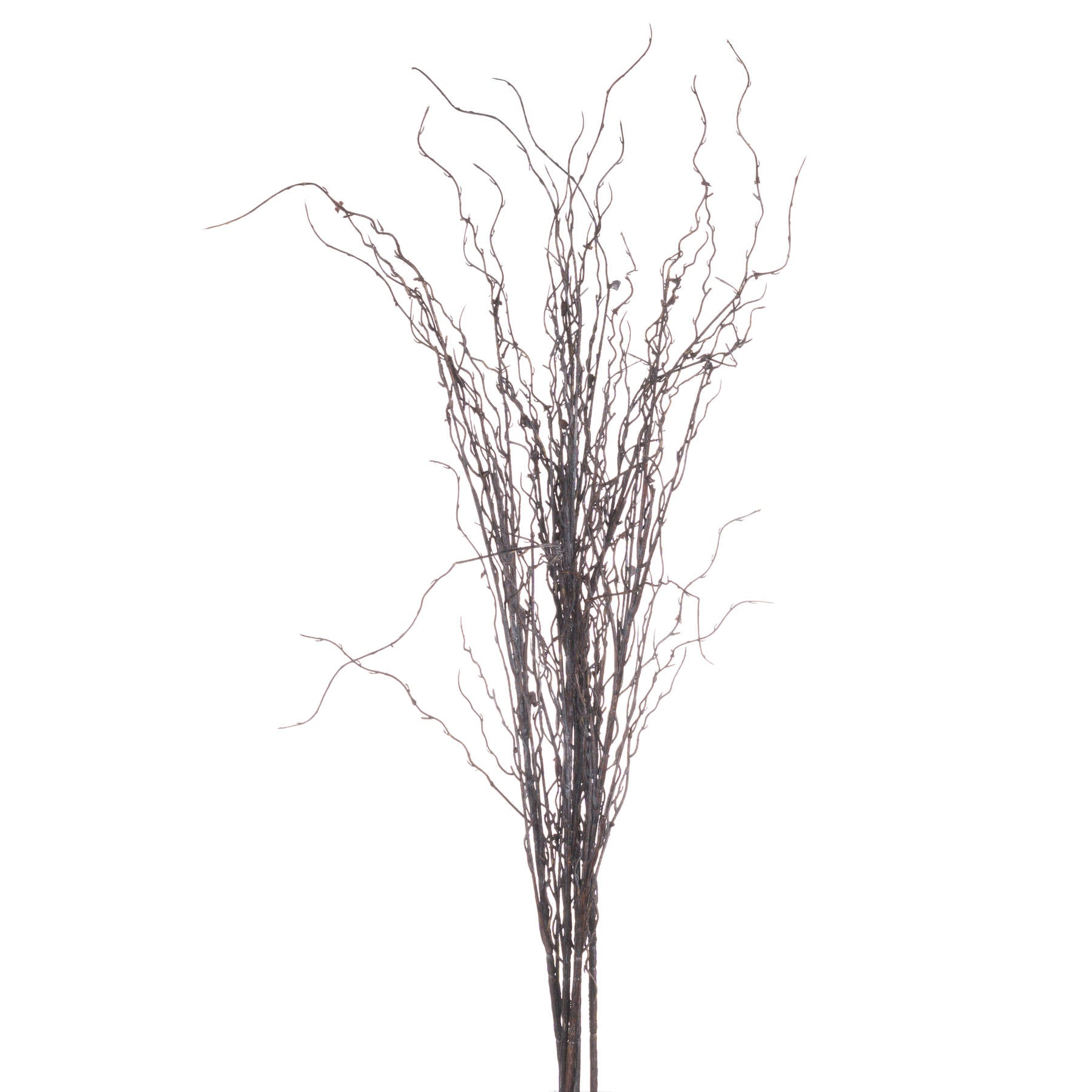 Marmont Branch Spray