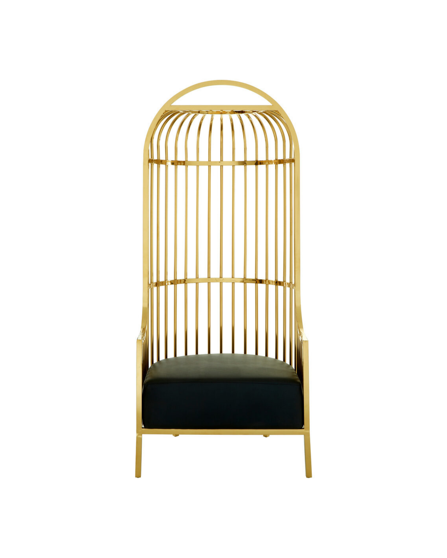 Amara Cage Chair - Gold & Black