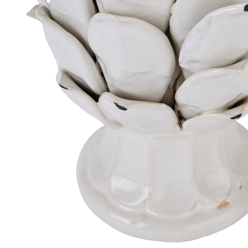 Zinnia Ivory Artichoke - Large