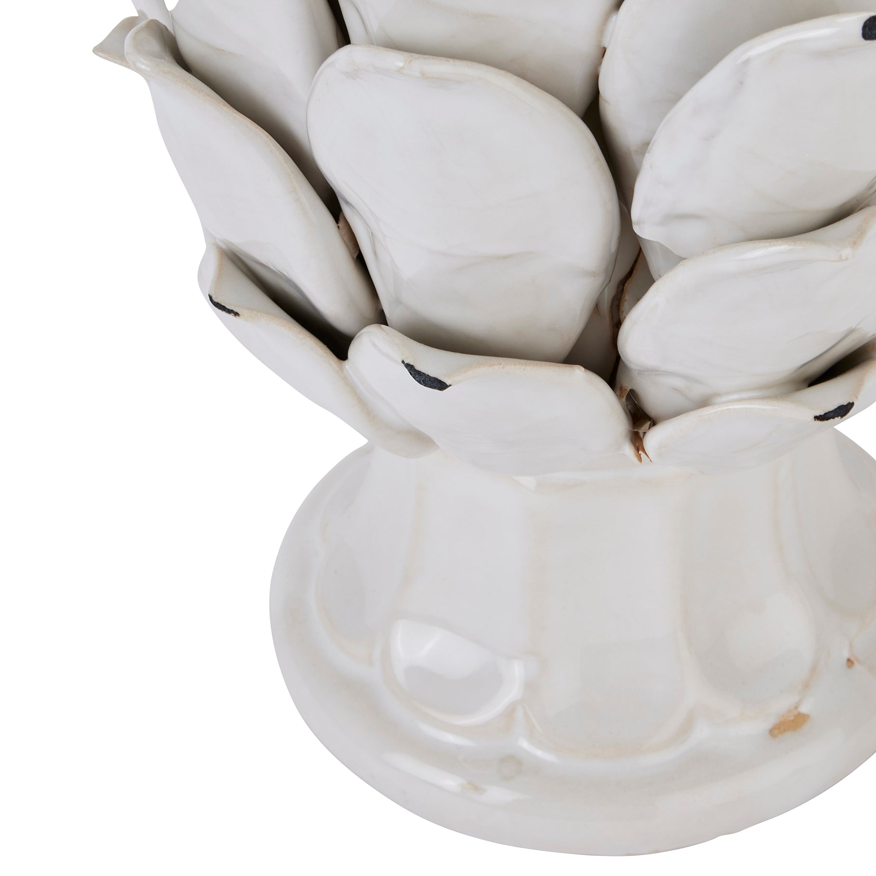Zinnia Ivory Artichoke - Large