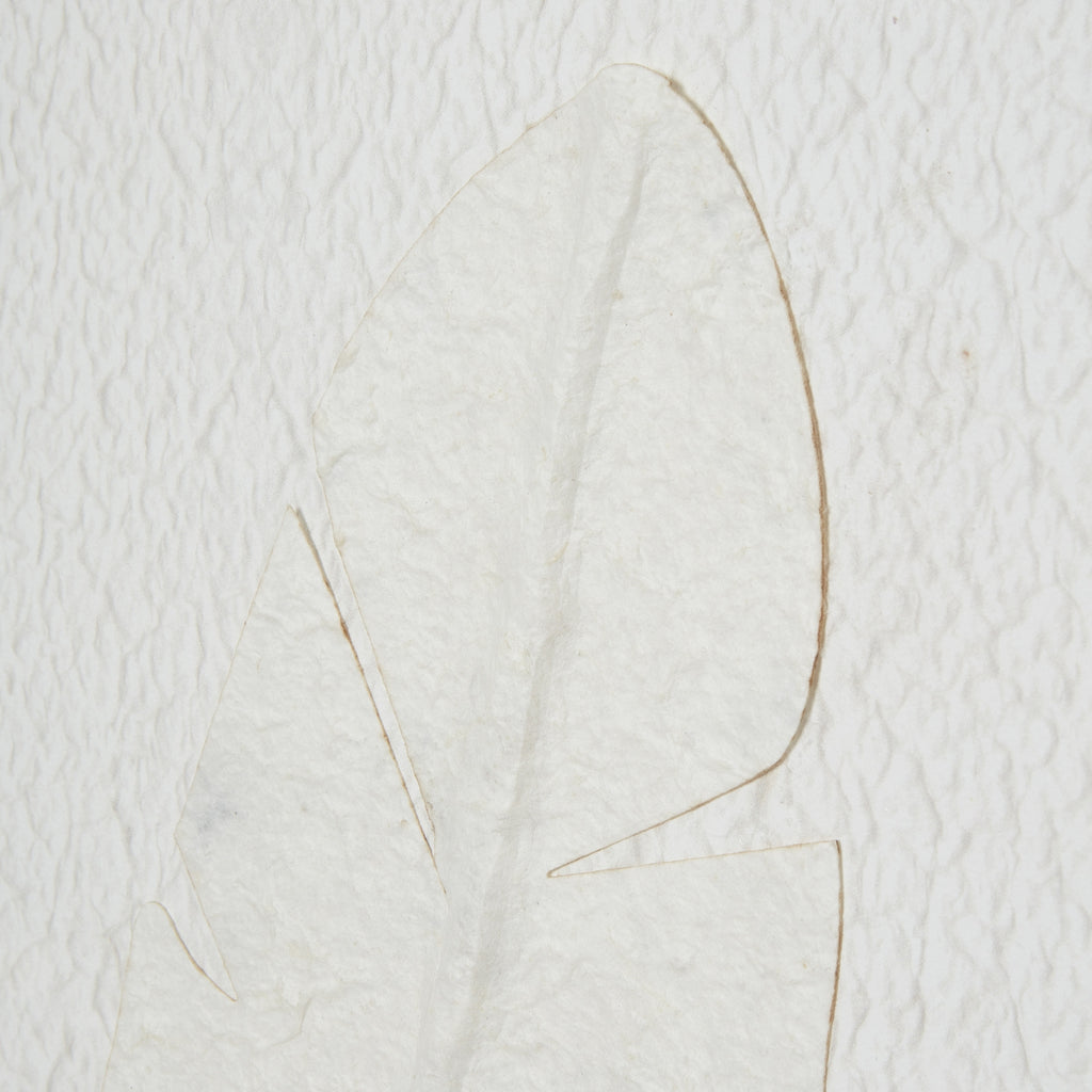 Quill White Feather Art - Large