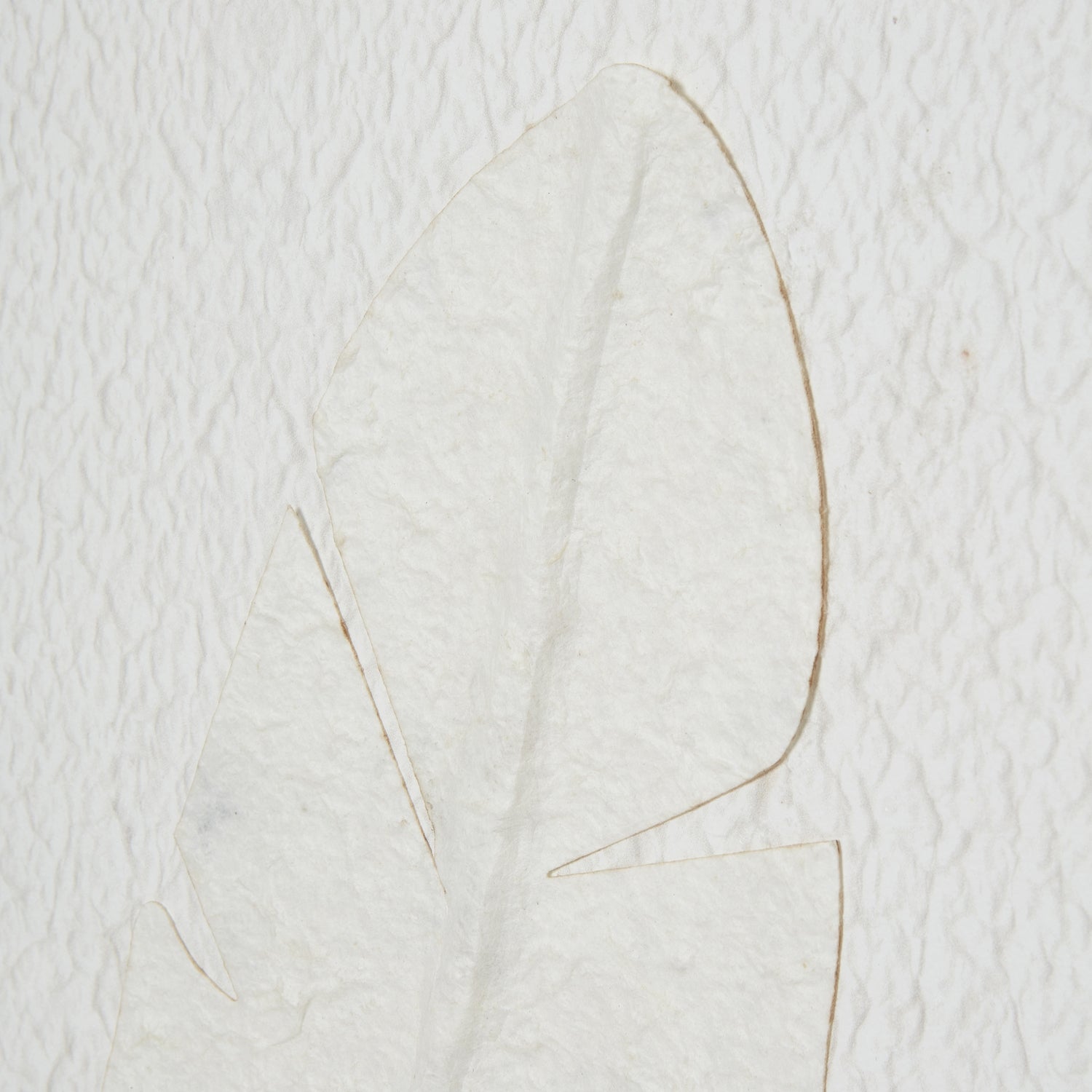 Quill White Feather Art - Large