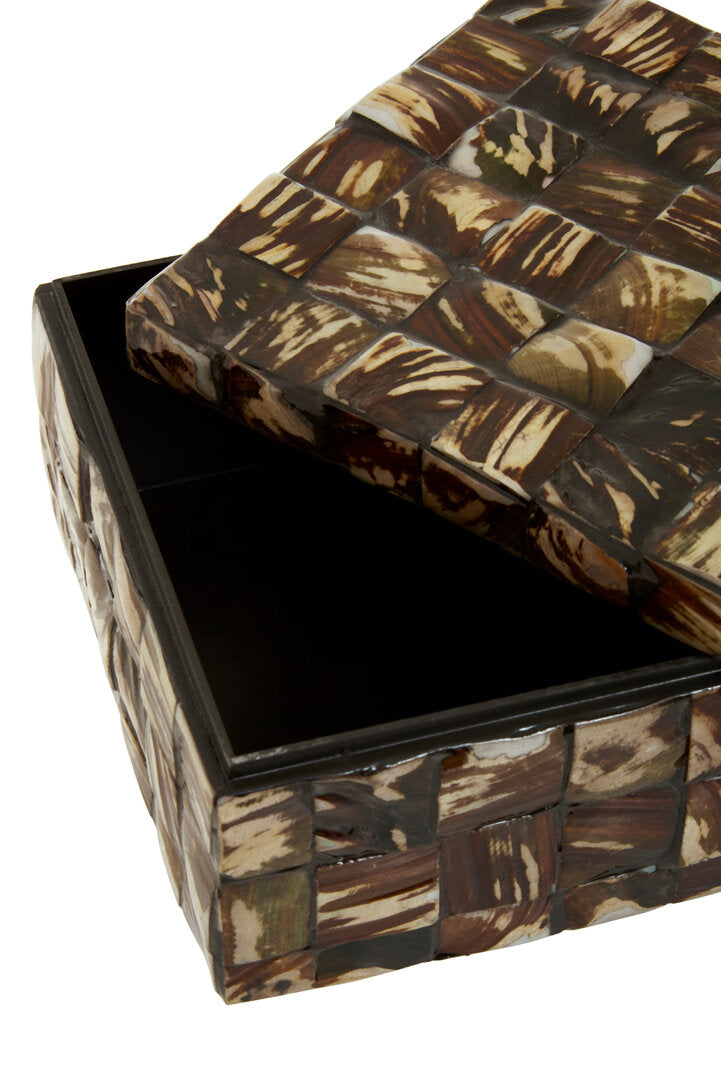 Kukan Natural Shell Box - Large