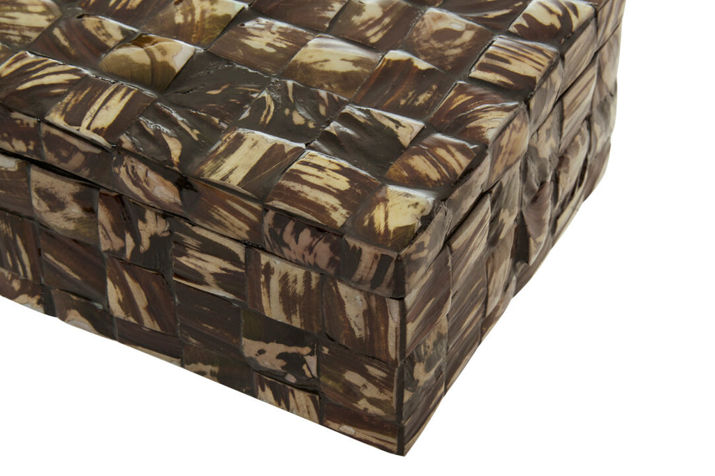 Kukan Natural Shell Box - Large