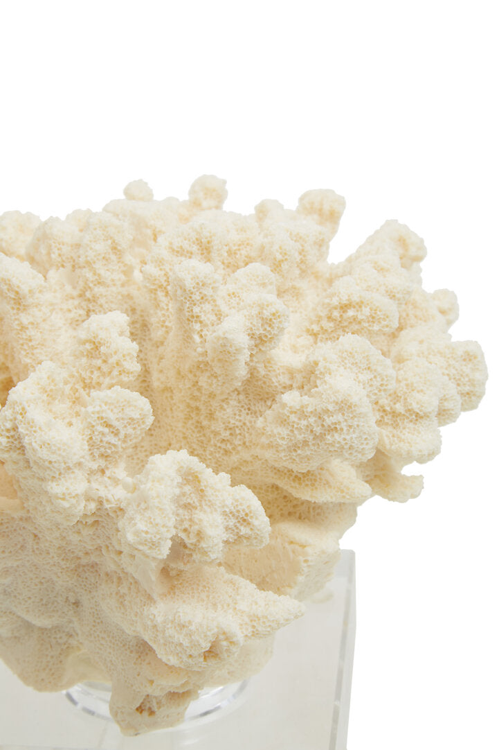 Lana Coral Sculpture - Large