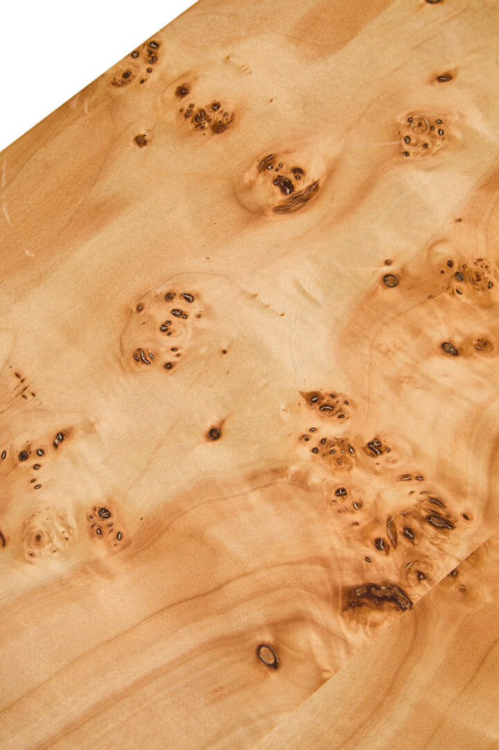 Rossetti Burl Wood Coffee Table