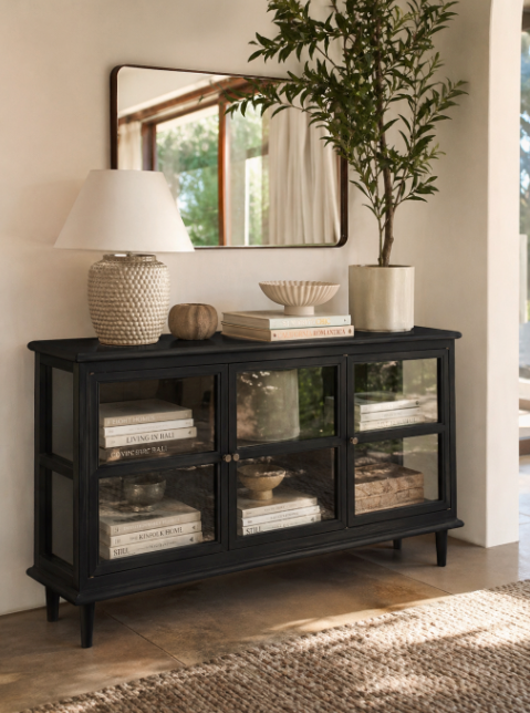Black console table with glass doors, lamp, books, and plant in a room setting.